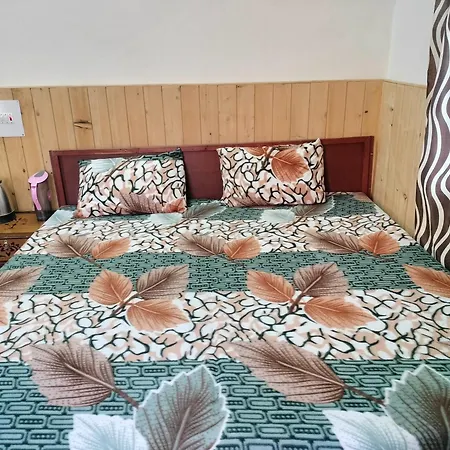Aman Place Homestay River Touch Jibhi Exterior photo